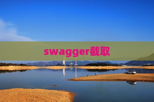 swagger截取